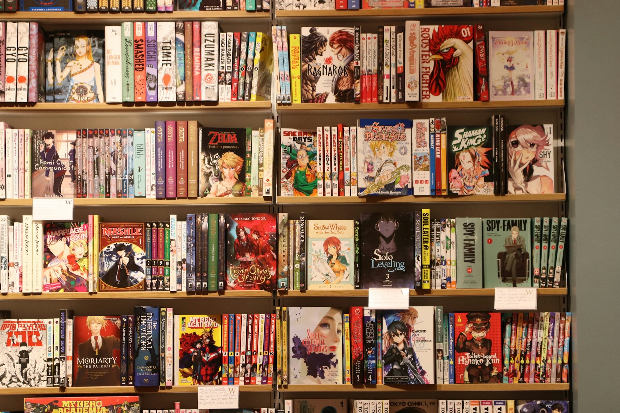 Gut gefülltes Bücherregal mit gebrauchten Büchern als Symbol für den privaten Buchverkauf