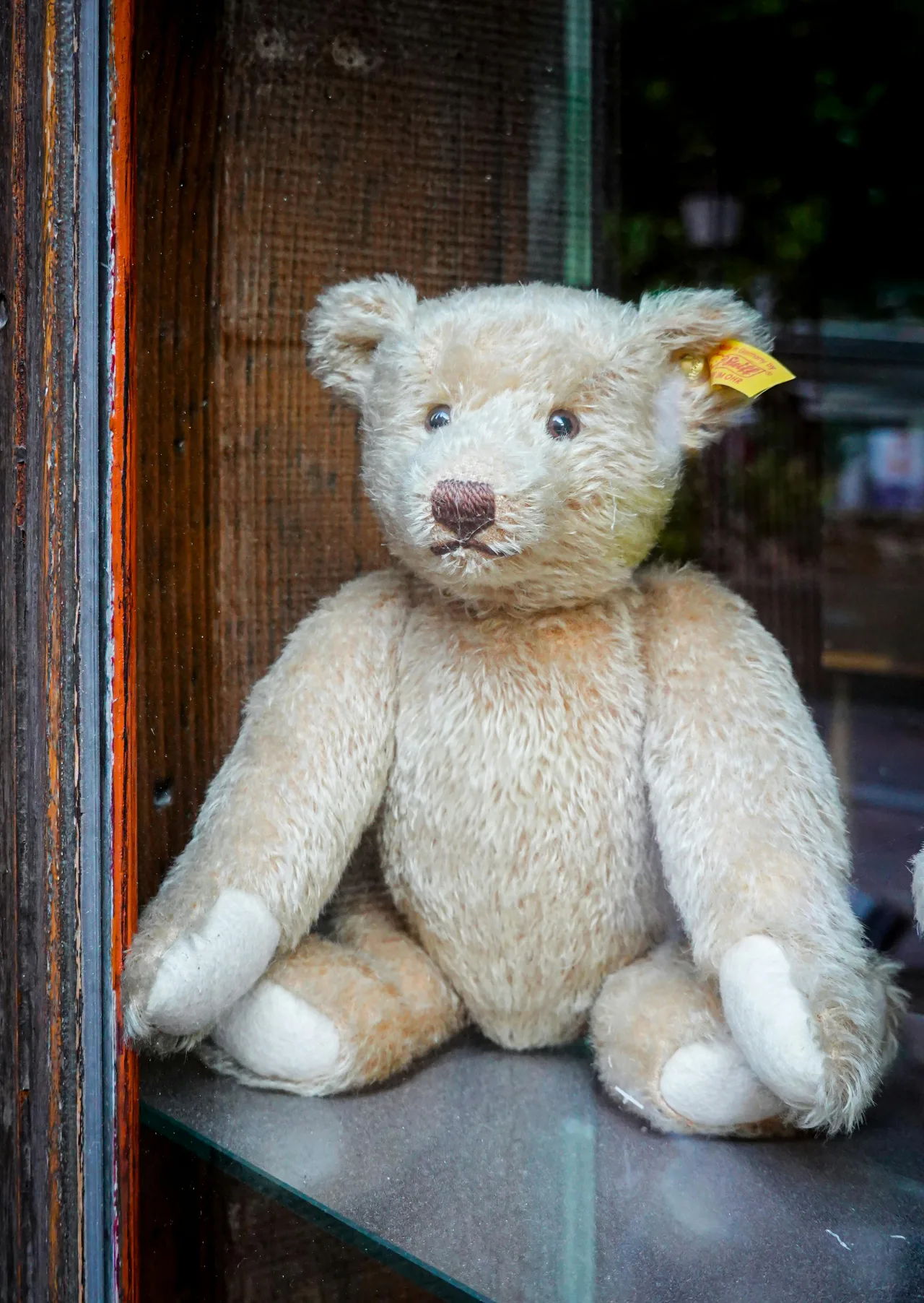 Steiff-Tiere Wert ermitteln: 6 klare Prüfpunkte